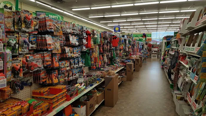 Dollar Tree 6