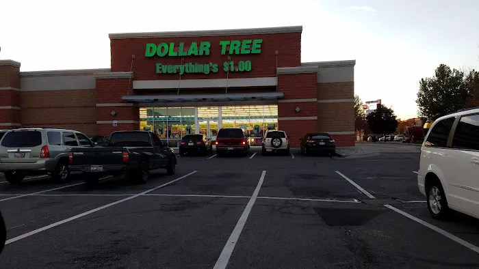 Dollar Tree 8