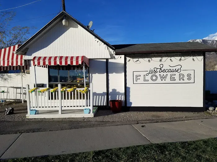 Just Because Flowers & Gifts 9
