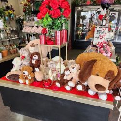 Timp Valley Floral ico