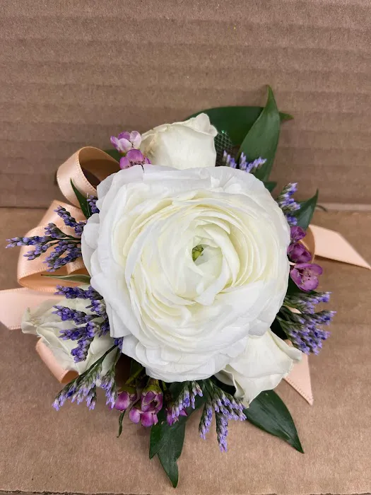 Timp Valley Floral 6