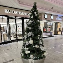 Neiman Marcus ico
