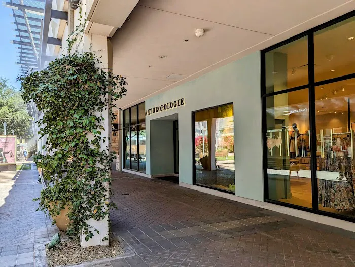 Anthropologie 2