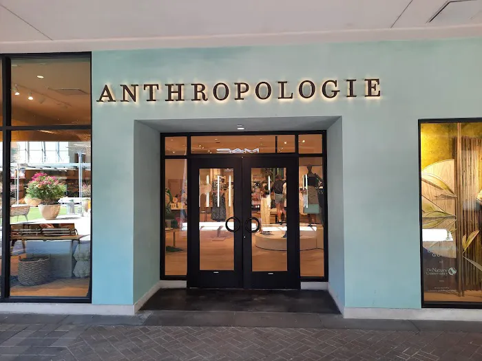 Anthropologie 1