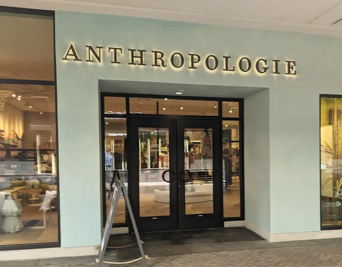 Anthropologie 4
