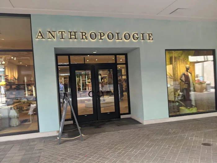 Anthropologie 6