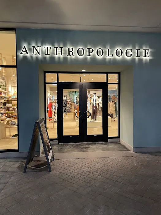 Anthropologie 5