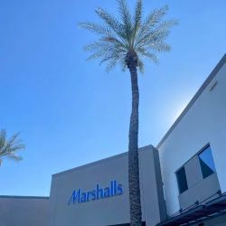 Marshalls ico