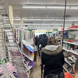 Dollar Tree ico