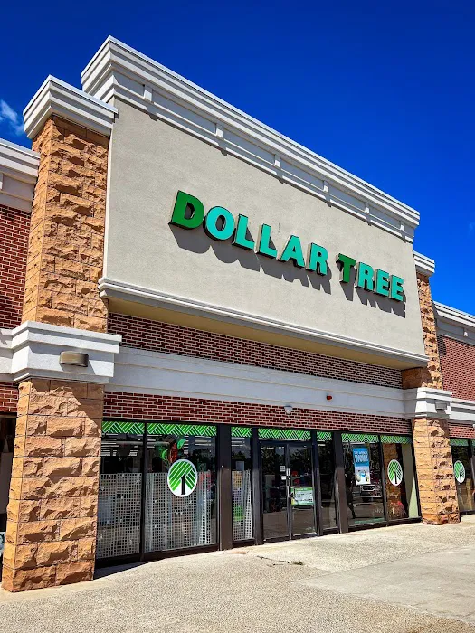 Dollar Tree 8