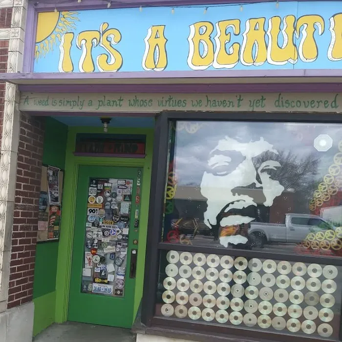 It's A Beautiful Day 9