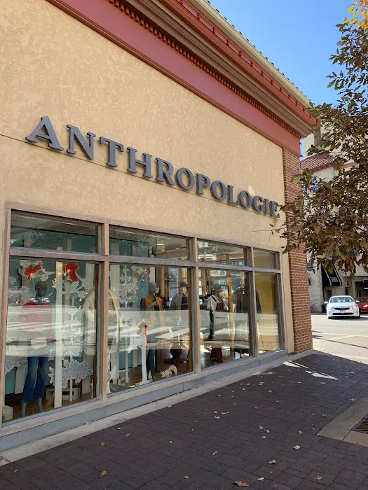 Anthropologie 4