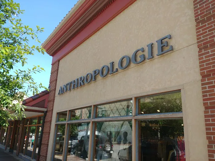 Anthropologie 5