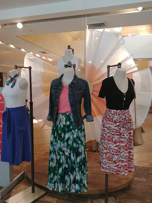 Anthropologie 9