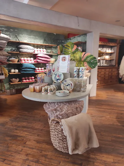 Anthropologie 6