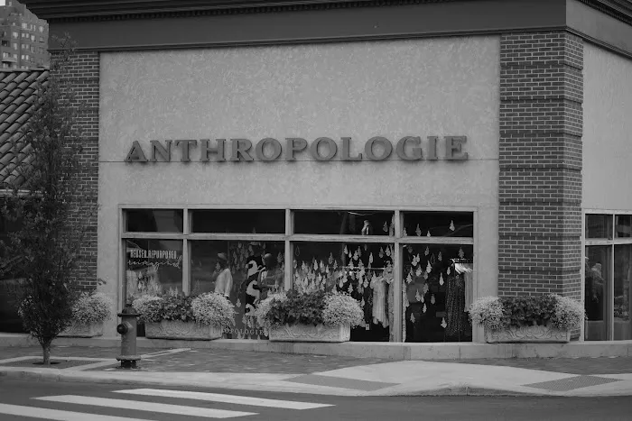 Anthropologie 0
