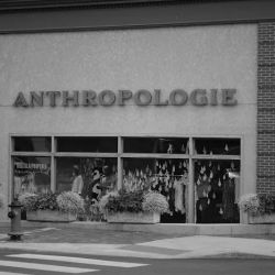 Anthropologie ico