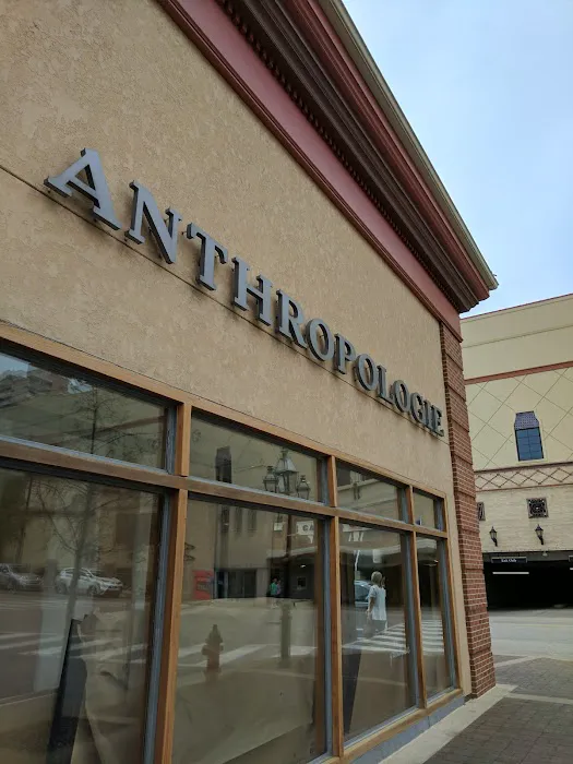 Anthropologie 3