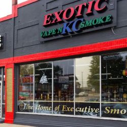 Exotic KC | Vape & Smoke Shop KC | THC & Kratom Store ico