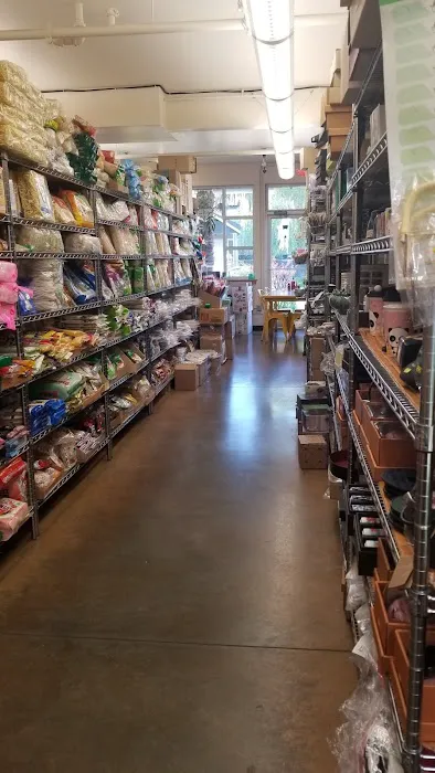 Lily Market 8