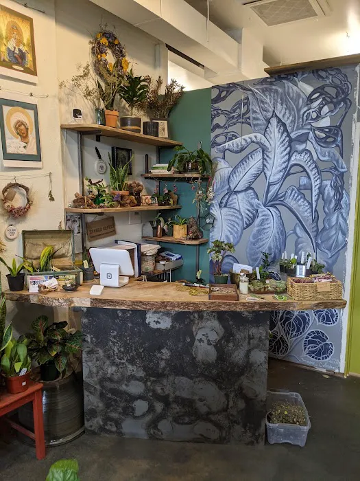 Larkspur Portland 0