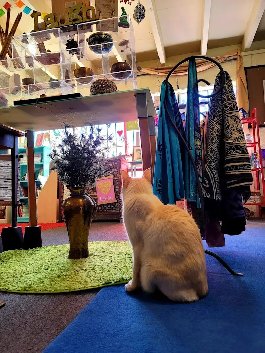 Serenity Shop/ As You Wish 7