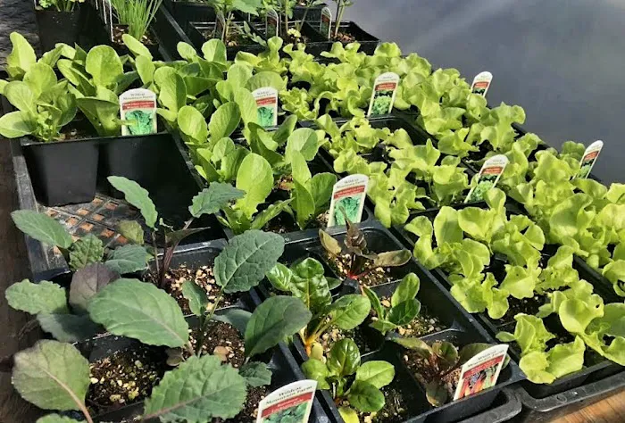 Cully Farm Store 9