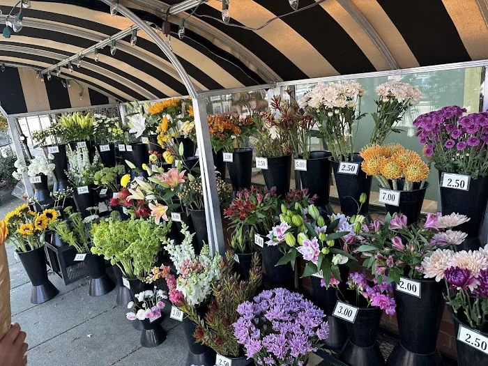 Broadway Floral Home & Garden 2
