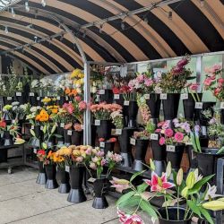 Broadway Floral Home & Garden ico