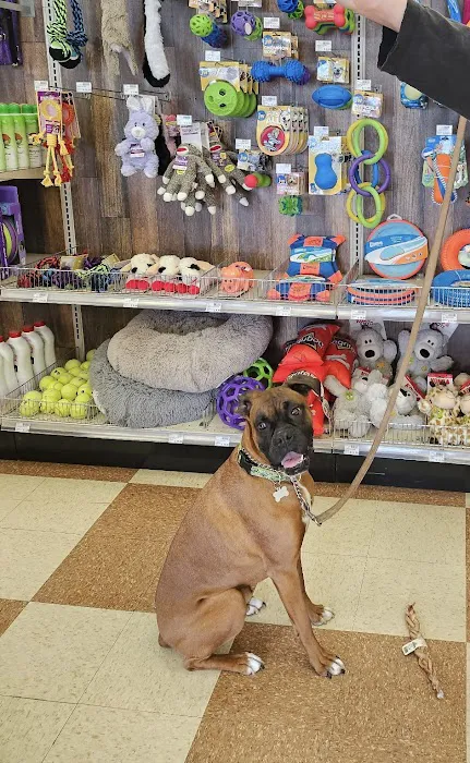 Elder's Ace Hardware-Smyrna 1