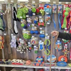 Elder's Ace Hardware-Smyrna ico