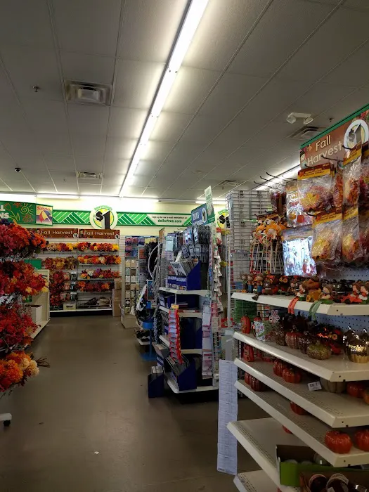 Dollar Tree 5