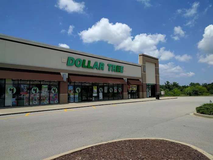 Dollar Tree 6