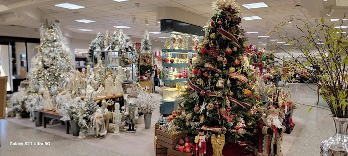 Dillard's 7