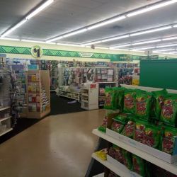 Dollar Tree ico