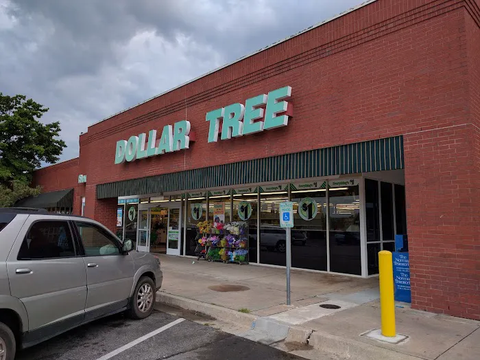 Dollar Tree 8
