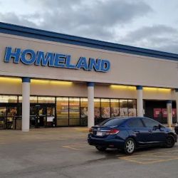 Homeland ico