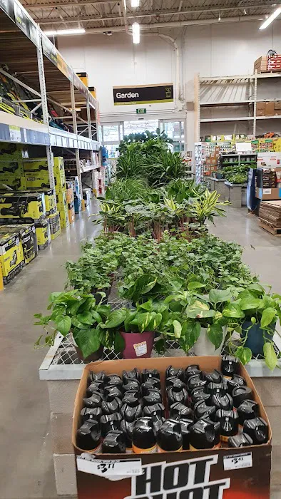 The Home Depot 4
