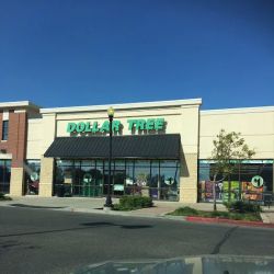 Dollar Tree ico