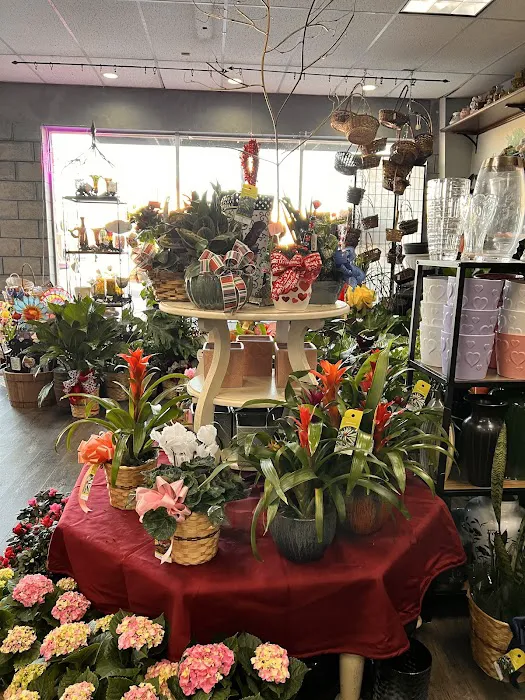 Capitol Hill Florist, Gifts & Flower Delivery 2