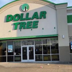 Dollar Tree ico