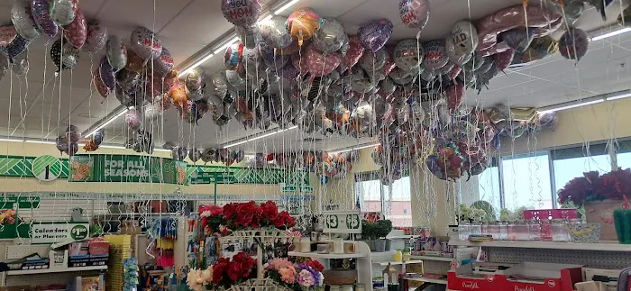 Dollar Tree 2