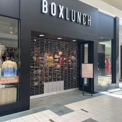 BoxLunch ico
