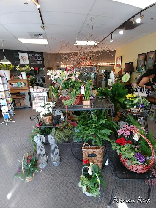 Tacoma Buds & Blooms 8