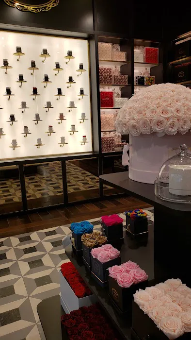 Venus et Fleur - Garden State Plaza 0
