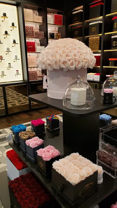 Venus et Fleur - Garden State Plaza 1