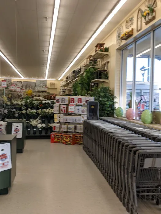 Hobby Lobby 7