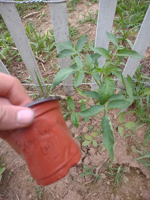 Tractor Supply Co. 9