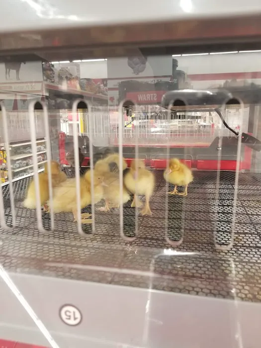 Tractor Supply Co. 1