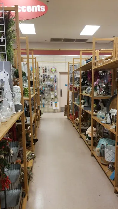 Bealls Outlet 3
